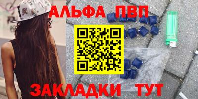 СК Волгодонск